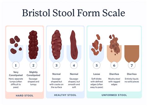 Why Is My Poop Bubbling In The Toilet A Guide To Types Of Poop And What They Mean Oshi Health