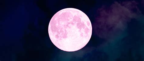 Why Is Tonight S Full Moon Called The Pink Moon Bbc Science Focus Magazine Why Is Tonight S Full Moon Called The Pink Moon Bbc Science Focus Magazine