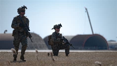 Wolf In Marine S Clothing Wolf Pack Hosts Usmc Rok Marines Combined Training Kunsan Air Base Display