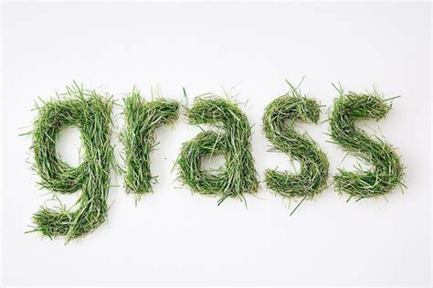 Word Grass Images Free Download On Freepik