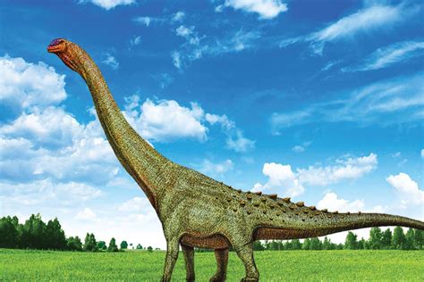 World S Largest Dinosaur Displayed Robinage