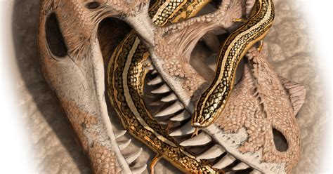 World S Oldest Snake Reveals Secrets Of Slithery Evolution