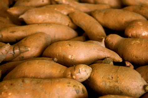 Yams Jumbo 40 Lbs Bulk Buy Food