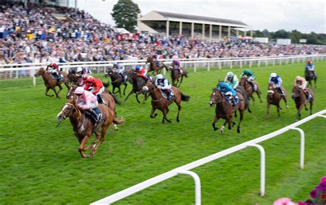 York Results Live Ebor Festival 2023 Fast Results On Day Three Paddy Power News